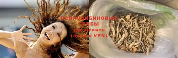 apvp Алзамай