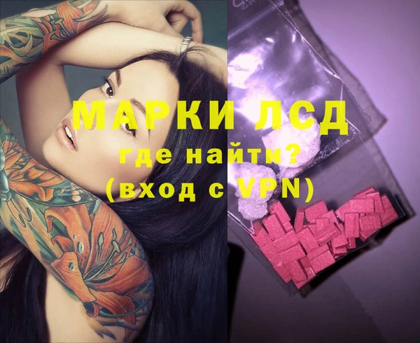 apvp Алзамай