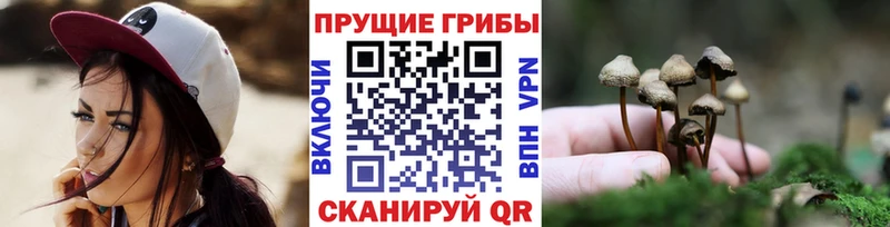 Галлюциногенные грибы прущие грибы  цены   Майкоп 